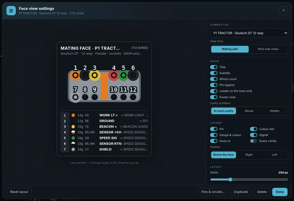 Face view settings window with live preview